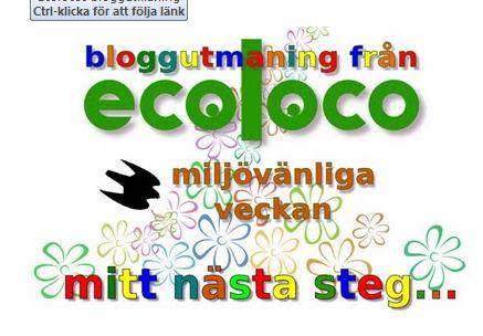 Ecoloco 